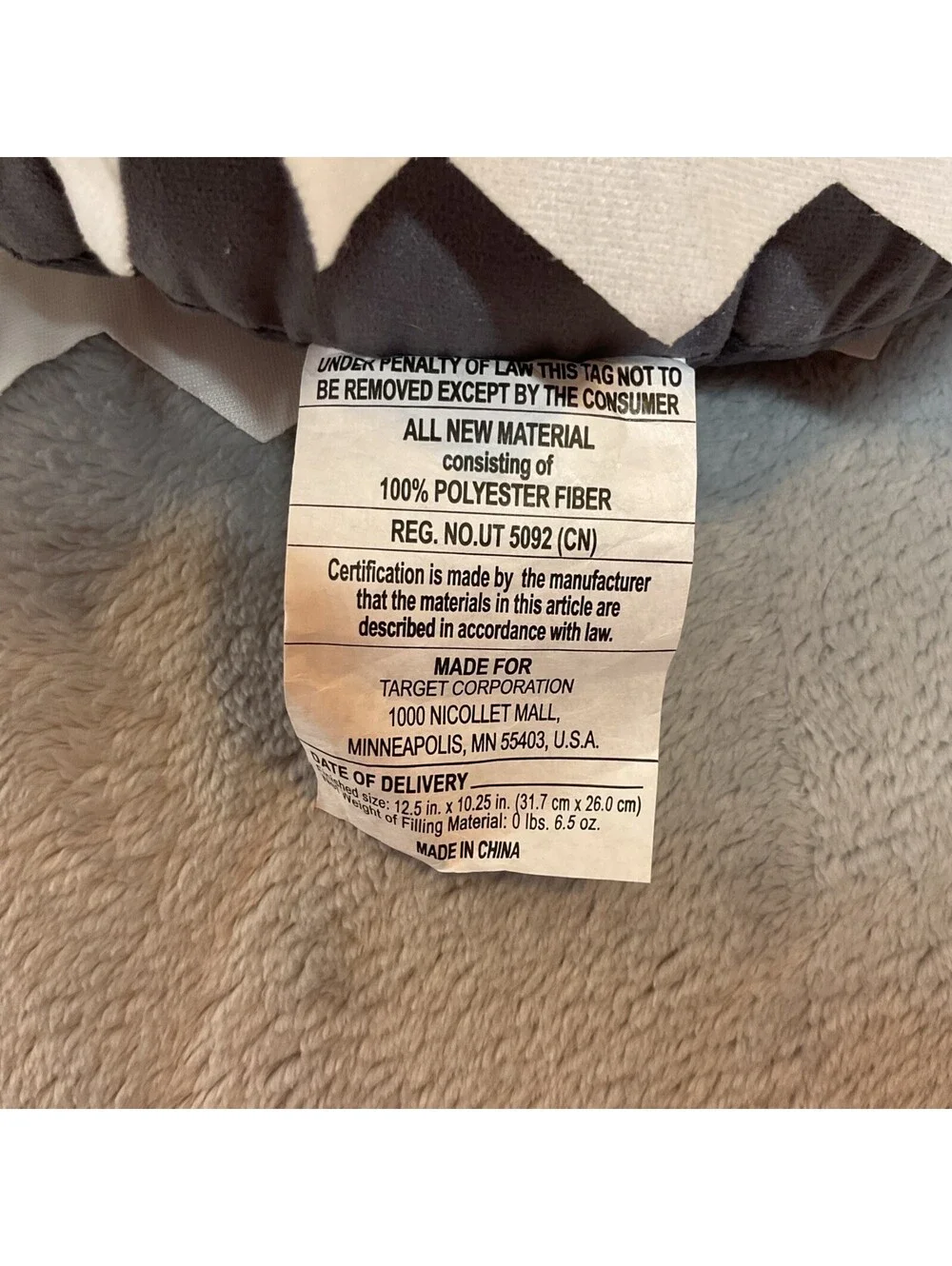 New With Tag Target Bullseye Playground Dog Ghost Halloween Pillow 2024